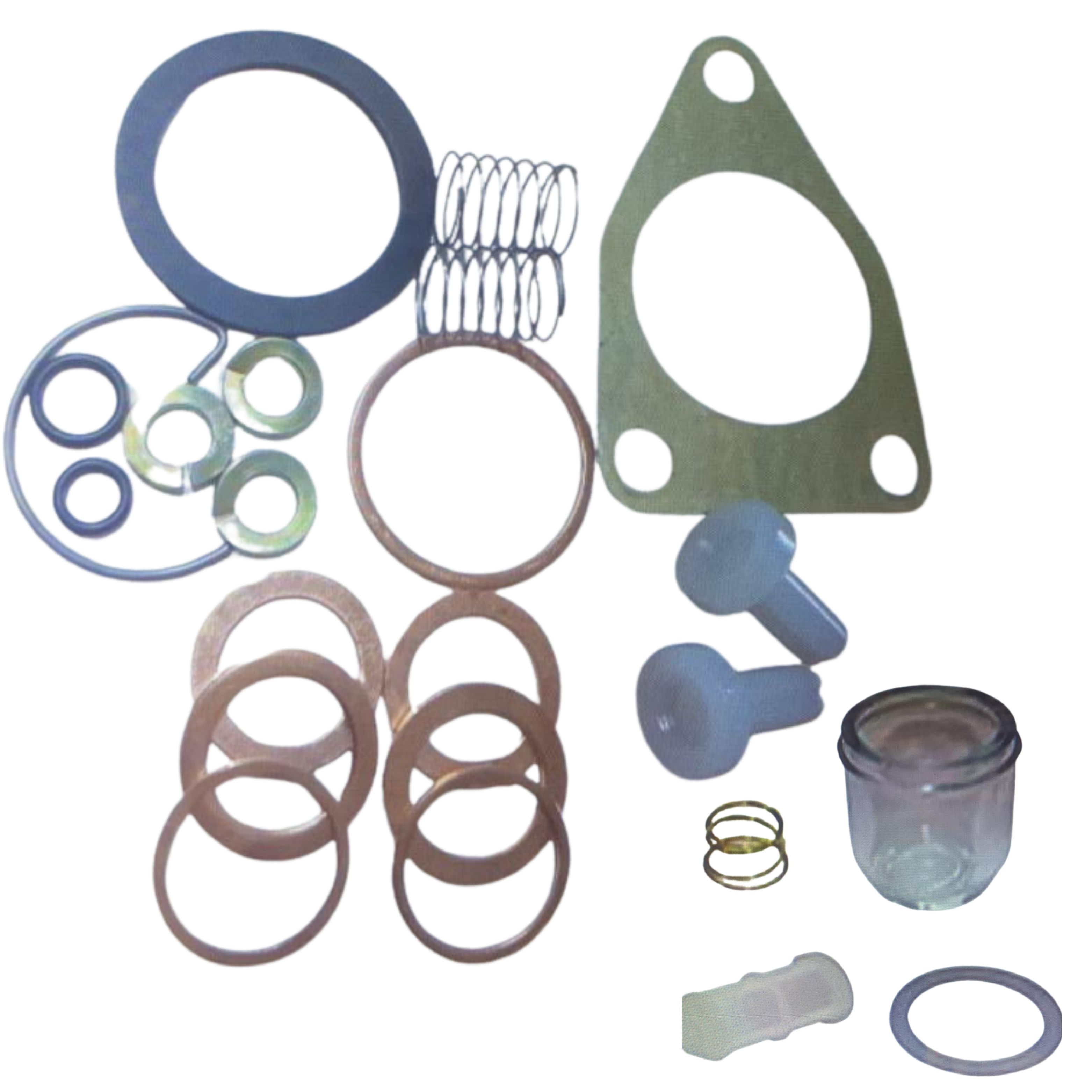 reparo bomba bosch
